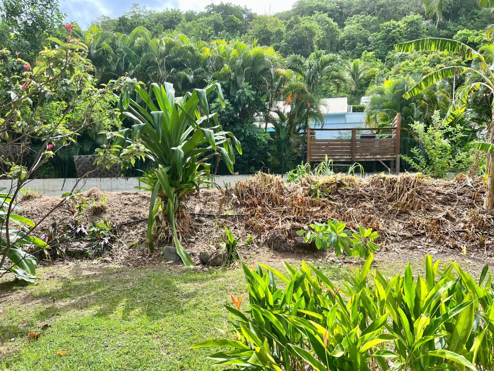 Villa Baz Creole à Deshaies Extérieur photo